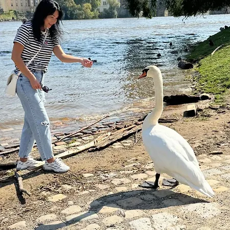 гостевой дом проживание в семье * Прага
